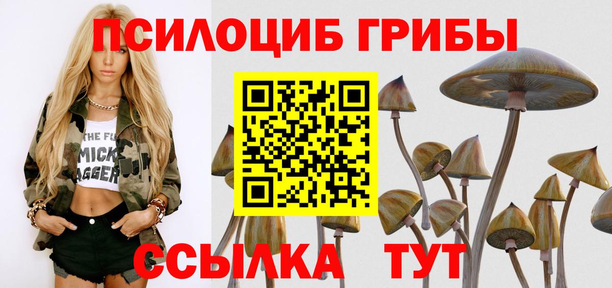 Тихорецк  Псилоцибиновые грибы ЛСД  сколько стоит  Вход с VPN 